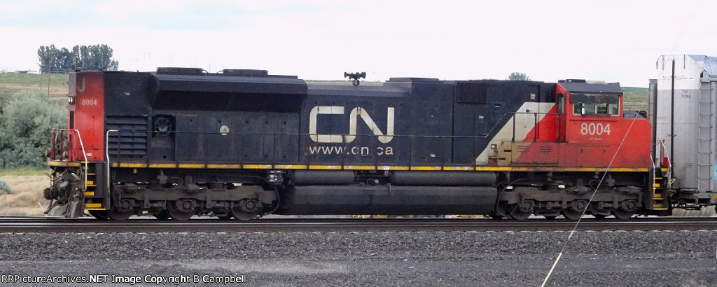 CN 8004